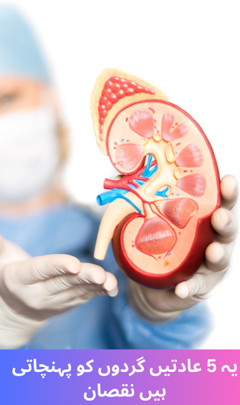 These 5 habits harm the kidney